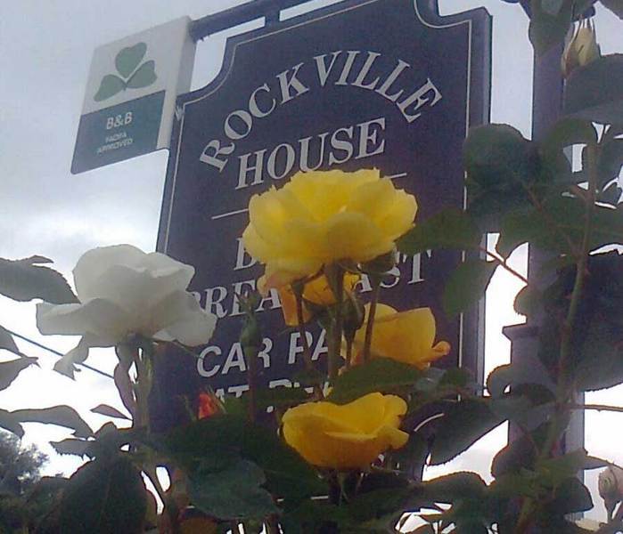 Rockville House B&B Cashel  Dış mekan fotoğraf